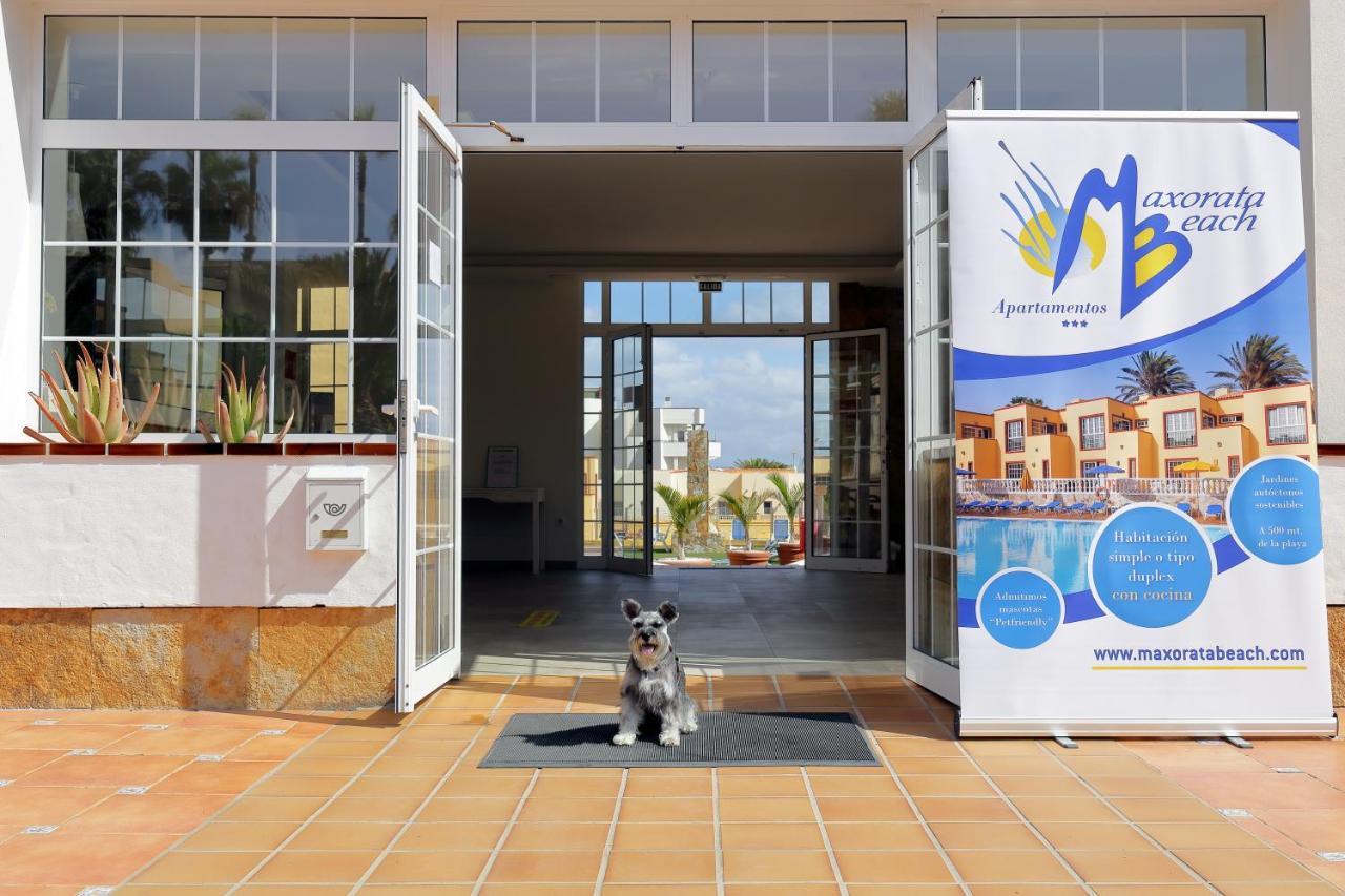 Apartamentos Maxorata Beach Corralejo Exterior photo
